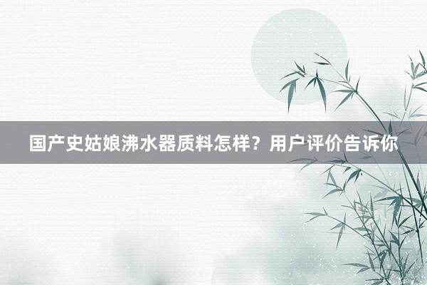 国产史姑娘沸水器质料怎样？用户评价告诉你