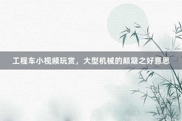 工程车小视频玩赏，大型机械的颠簸之好意思