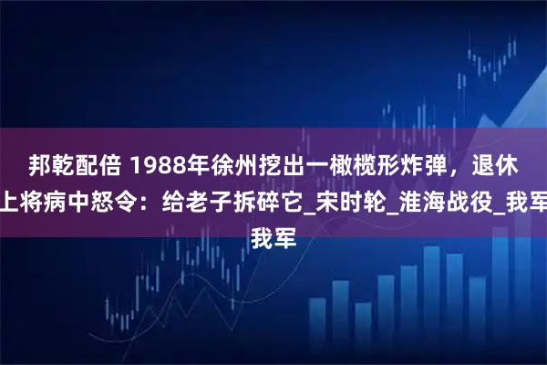 邦乾配倍 1988年徐州挖出一橄榄形炸弹，退休上将病中怒令：给老子拆碎它_宋时轮_淮海战役_我军