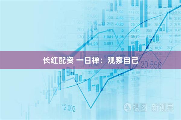 长红配资 一日禅：观察自己